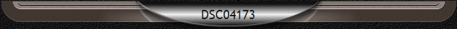 DSC04173