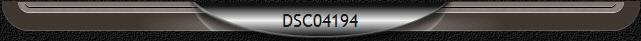 DSC04194