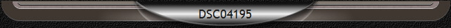 DSC04195