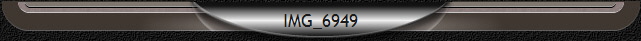 IMG_6949