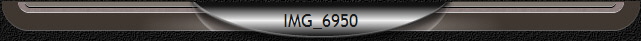 IMG_6950