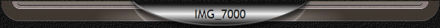 IMG_7000