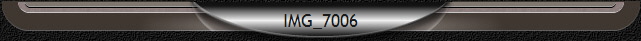 IMG_7006