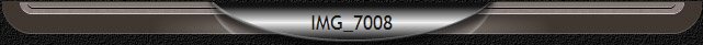 IMG_7008