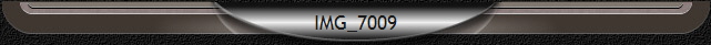IMG_7009