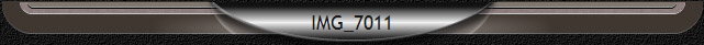 IMG_7011