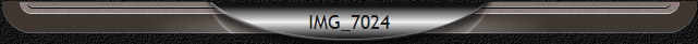 IMG_7024