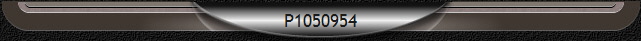 P1050954