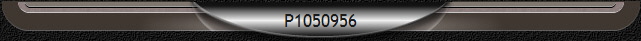 P1050956