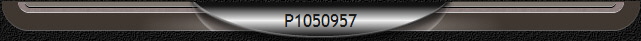 P1050957